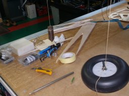 Wing struts (24)